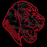 Bloodhounds logo